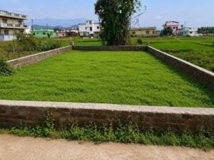 Best plot in selaqui nigam road