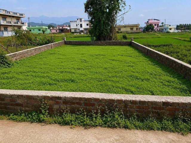Best plot in selaqui nigam road